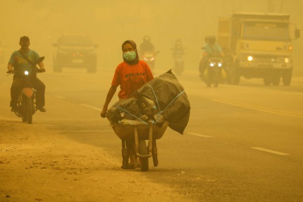 Indonesian NGO alleges 21 Malaysian-linked firms involved in forest fires